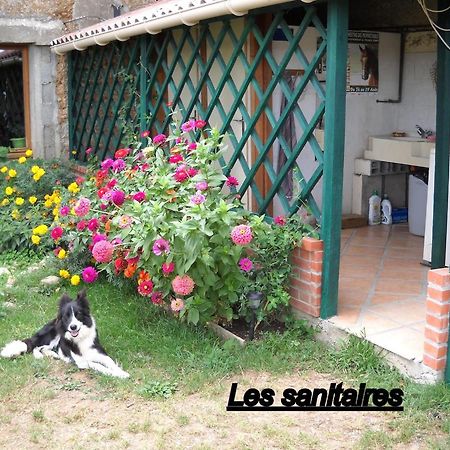 Ferme Equestre Les Chevaliers Ξενοδοχείο Penol Εξωτερικό φωτογραφία