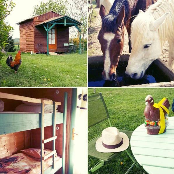 Ferme Equestre Les Chevaliers Ξενοδοχείο Penol Εξωτερικό φωτογραφία